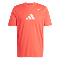 Footwear & Apparel M Padel Cat G T