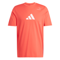 Footwear & Apparel M Padel Cat G T